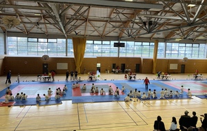 TOURNOI JUDO BELLEVILLE 17 ET 18 MAI 2025