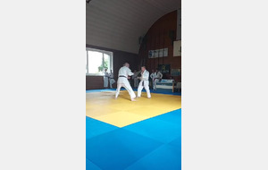 judo