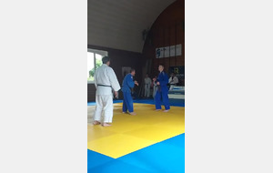 judo