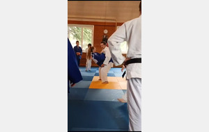 judo