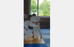 judo