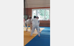 judo