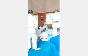 judo