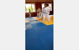 judo