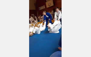 judo