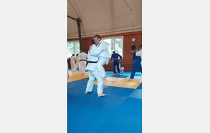 judo