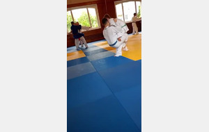 judo