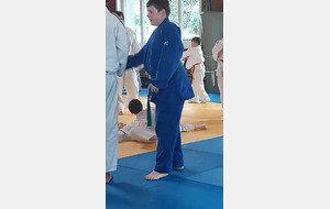 judo