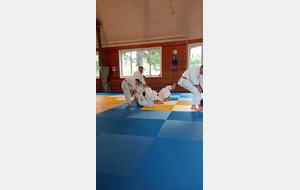 judo